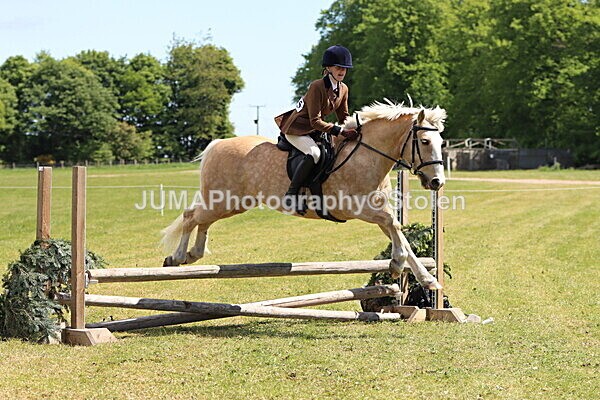 IMG_3652 - Working Hunter