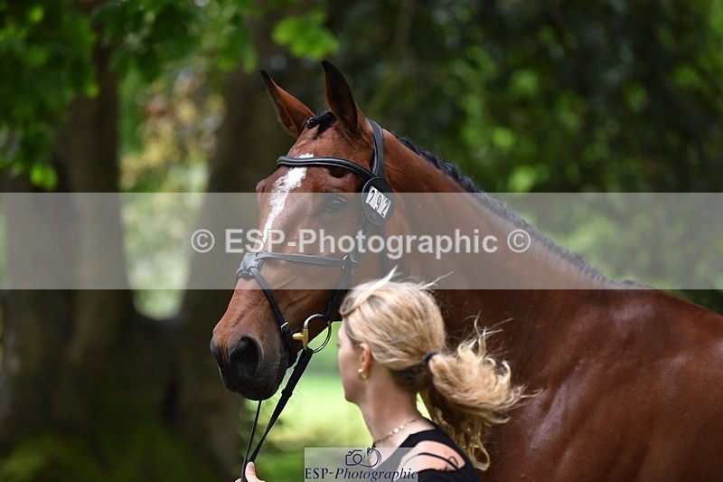 240522-173022-01662 - 292-MY_DREAM_H.J.-Pippa_Royle