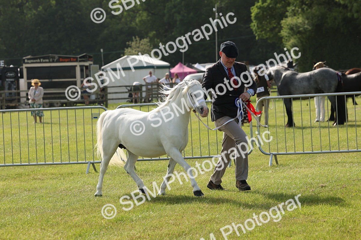 SBM_00668 - Class 6-13 - Mountatin and Moorland In Hand Welsh Breeds