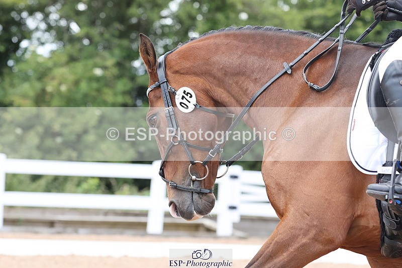 240706A-145038-03751 - Cls 8A Snr RT Prelim 12, 14.40 to End