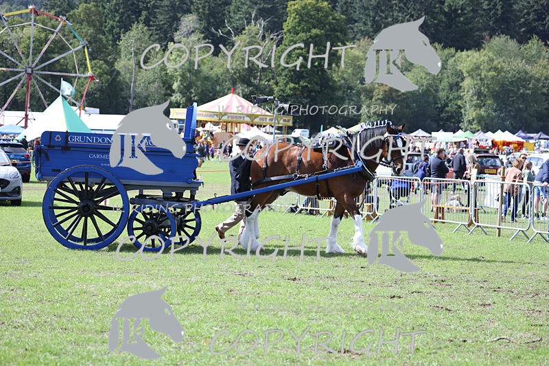 APP_3580 - Class 7 Turnout for a single or pair