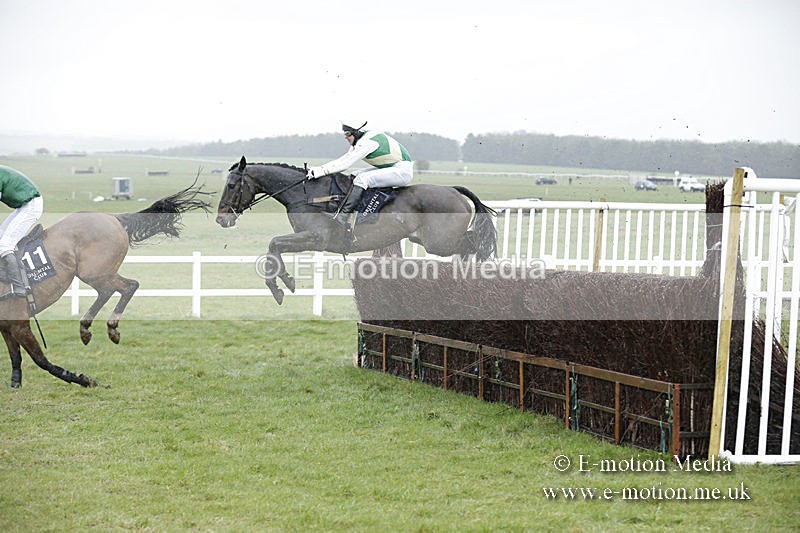 PtP 150320 0154 - New Forest Point-to-Point Larkhill 15/03/20
