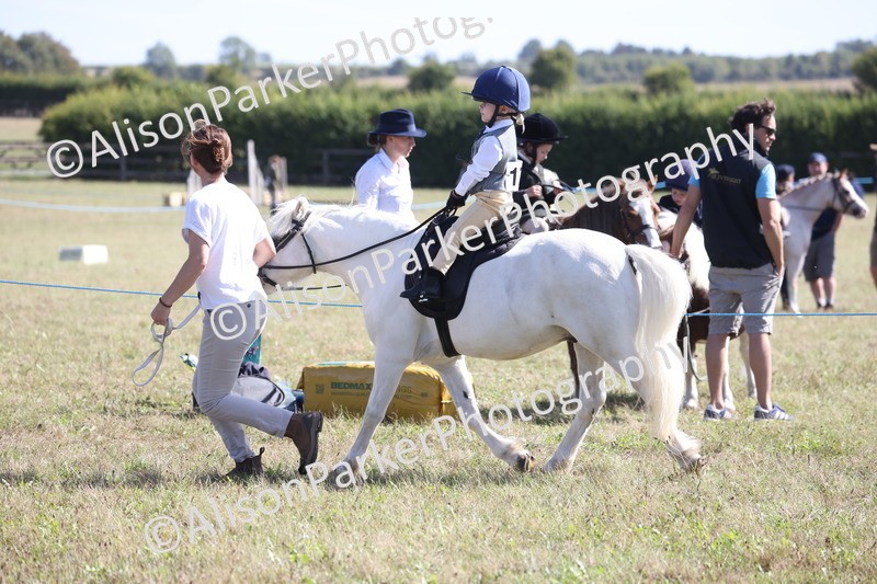 20260906-2292 - Class 16 - Family Pony