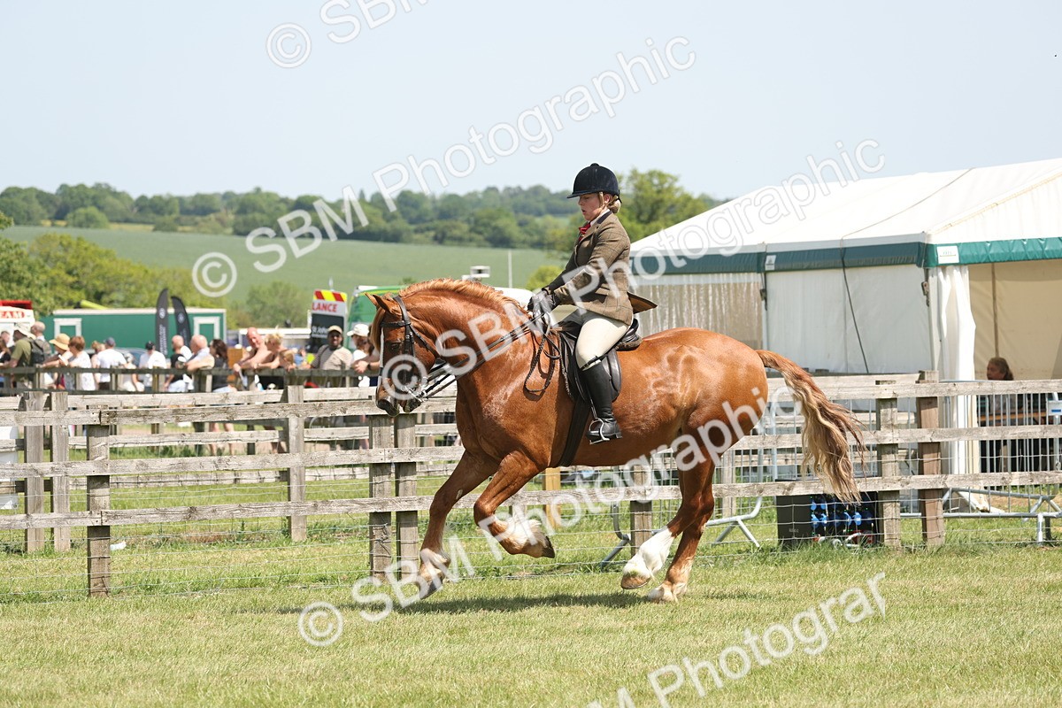 SBM_06949 - Class 26-30 - Mountain and Moorland Ridden
