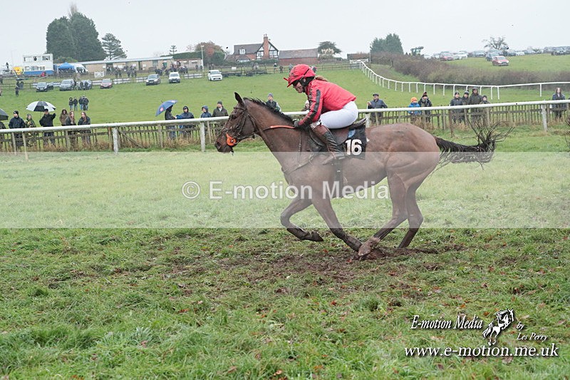 PtP 031223 703 - Wheatland Hunt PtP Chaddesley Races 03/12/23