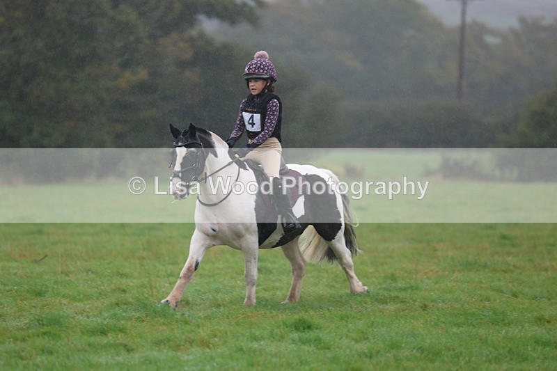 3E7A0802 - Class 1: 65cm: Rails