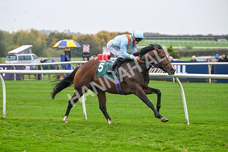 181025-Race 7-Lexington Blitz-1390 - Race 7