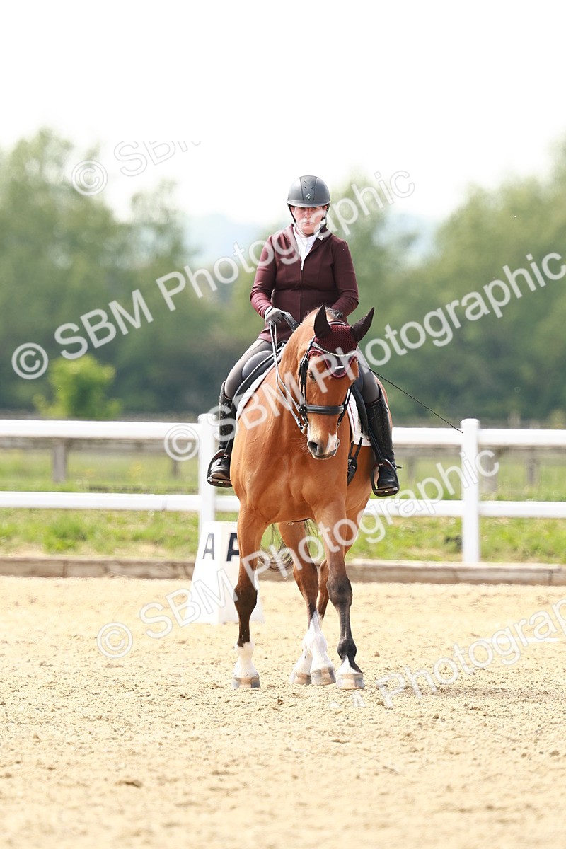 SBM_002993 - Class 13 - Medium 5