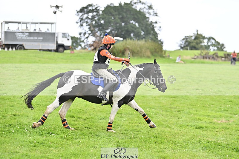 240804-144437-15455 - 555-Jack_Wish-WESTERLAKE_BUTTONWEED