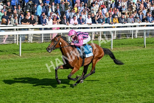 160525-Race 6-Bowmark-7176 - Race 6 4.55pm Darley EBF 'Confined' Novice Stakes