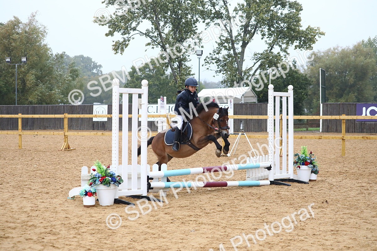 SBM_71746 - J4 - Mini Tour Junior Pony 45cm Championship