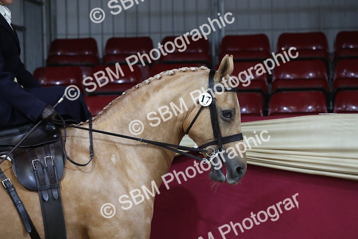 SBM_09234 - Class 101 Equitation (best rider), Junior