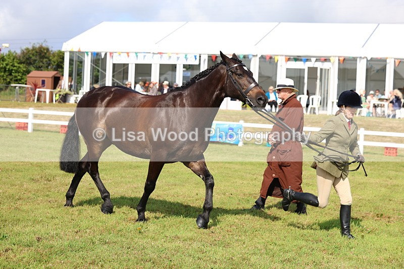 3E7A9115 - Class 3: Rising Star S/L Hunter