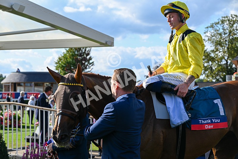 220826-Race 7-Raammee-2032 - Race 7 17.20pm Sky Bet Dav Reid Finale Handicap