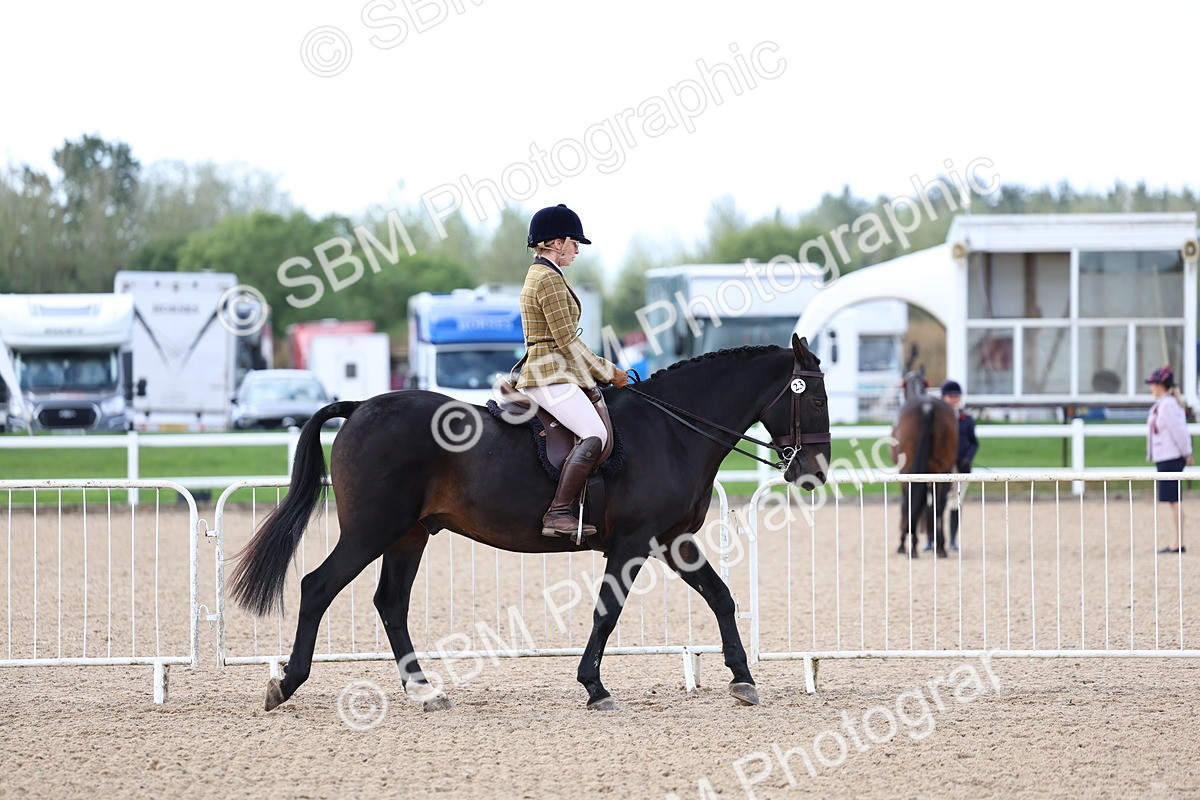 SBM_10032 - Class 304 - Ridden Part Bred Horse Pony