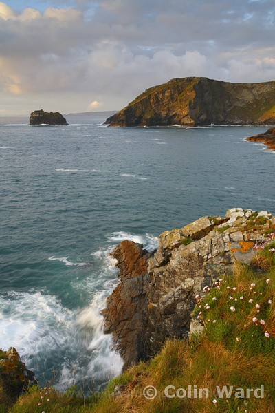 Gullestem, Tintagel.  Ref 2510 - Cornwall