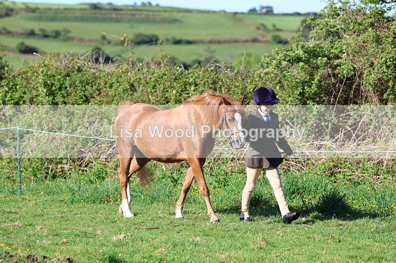 3E7A8314 - Class 12: M & M Small Breeds