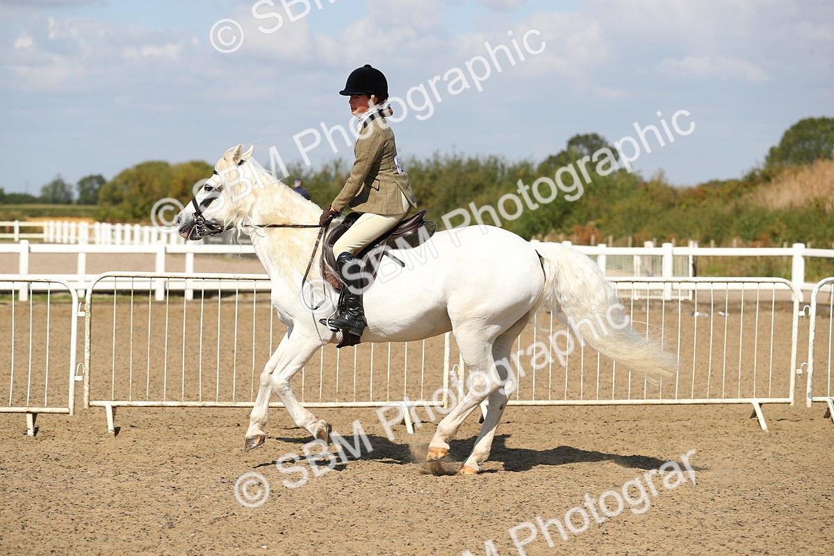 SBM_03155 - Class 44 Riding Club Horse/ Pony