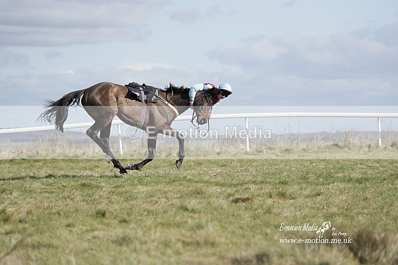 PtP 260223 490 - South & West Wilts Point-to-Point Larkhill 26/02/23