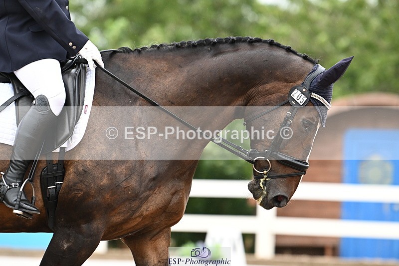 240815A-132739-01524 - 205-Donna.Boyd-Vagebond.vd.Withoeve.Z