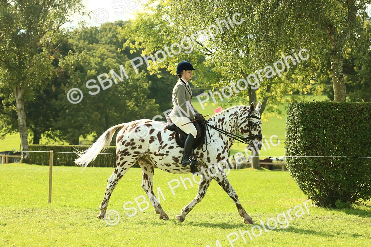 SBM_62393 - S62 - Foreign Breeds Ridden