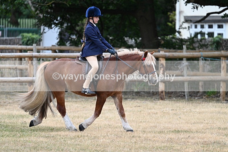 WJ7_0428 - Class 2 Best rider