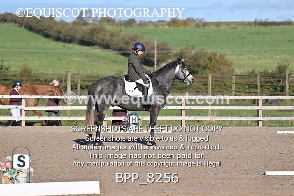 BPP_8256 - SHORT ARENA INTRO 1