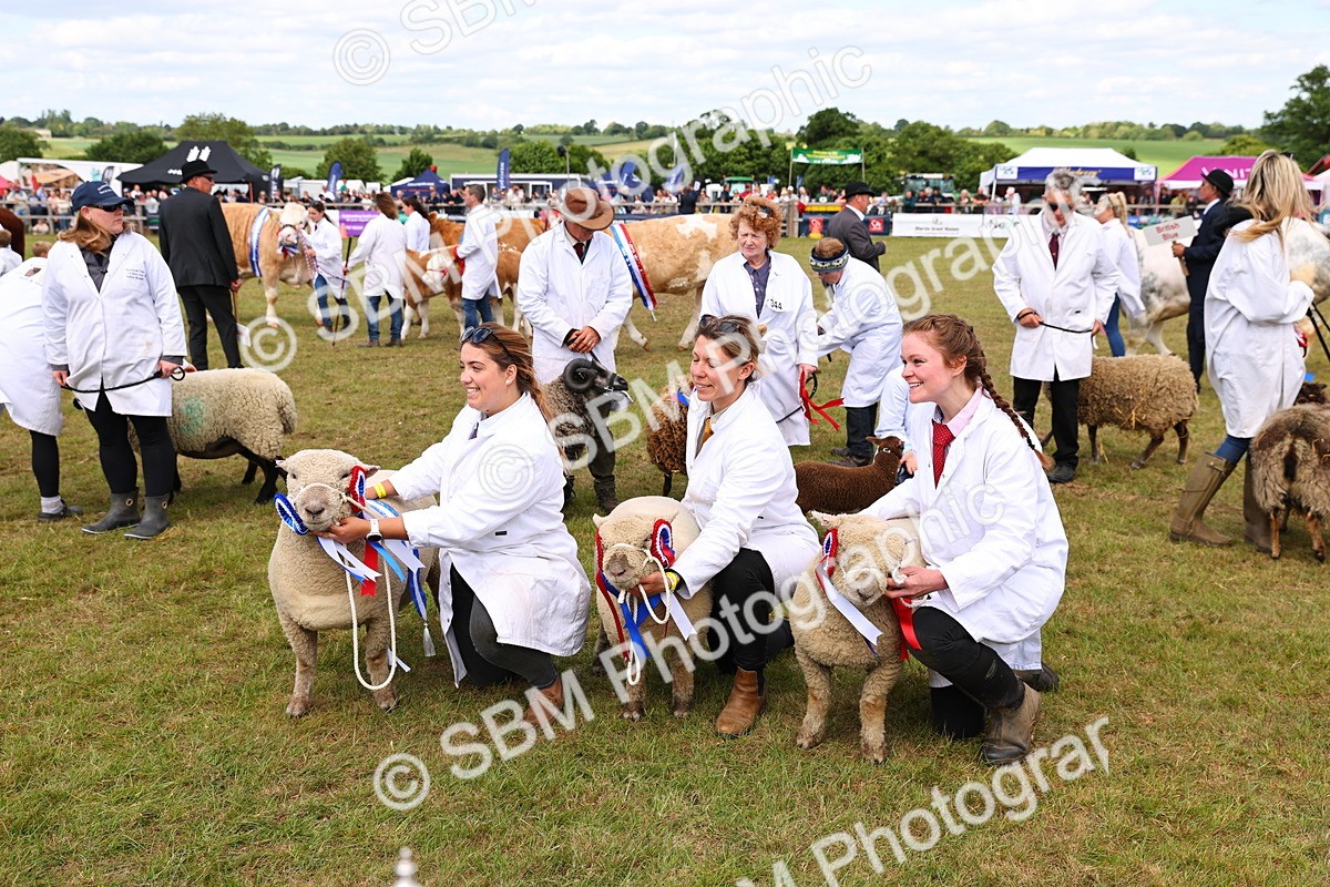 SBM_16951 - Grand Parade