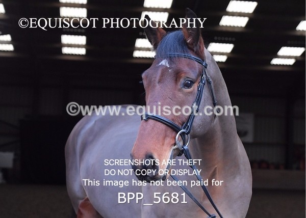 BPP_5681 - Imogen Gray