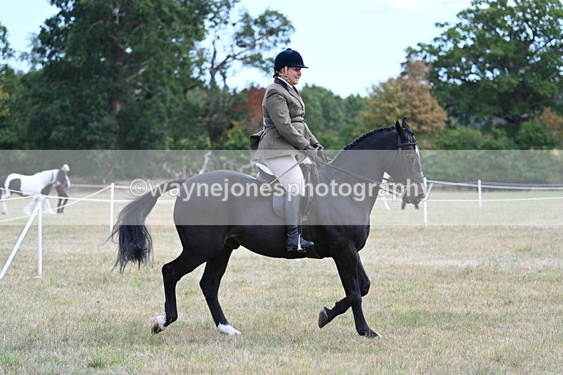WJ7_5988 - Class 13 Ridden Veterans