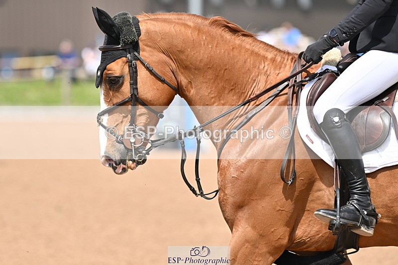 240510A-123854-06667 - Cls 23 Talent Seeker Inc 7 yr old Start to 13.15