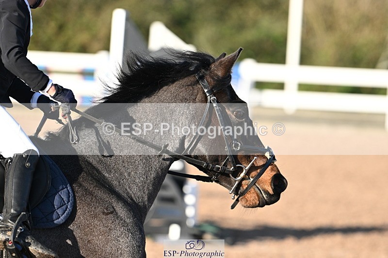 241026A-100836-00059 - SAT Cls 3 Pony Intro 70cm