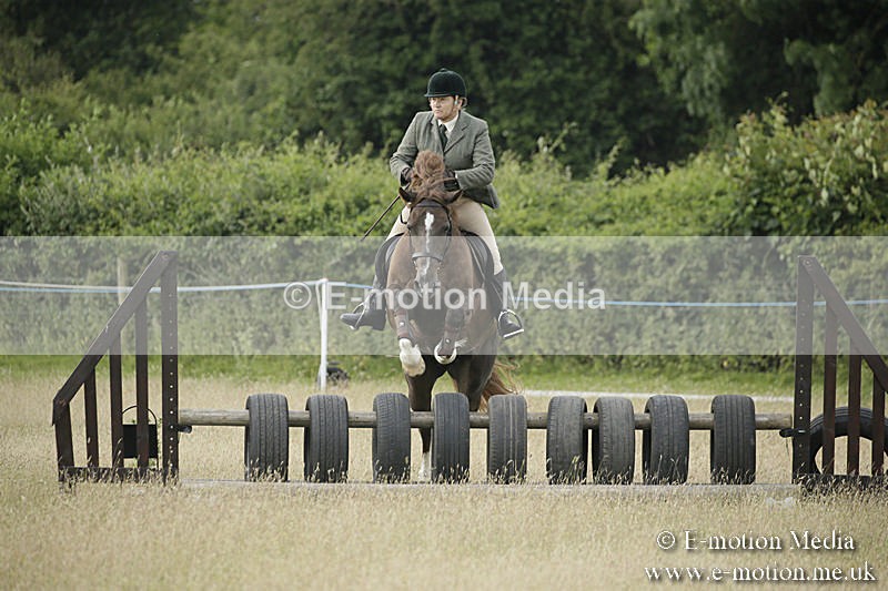 B230619-0179 - Bourne Valley Riding Club Summer Show 23/06/19