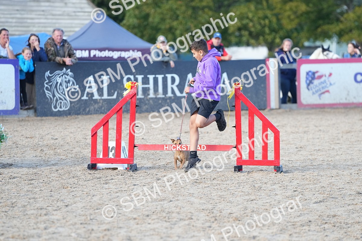 SBM_29091 - J43 - Horse & Hound Open 50cm