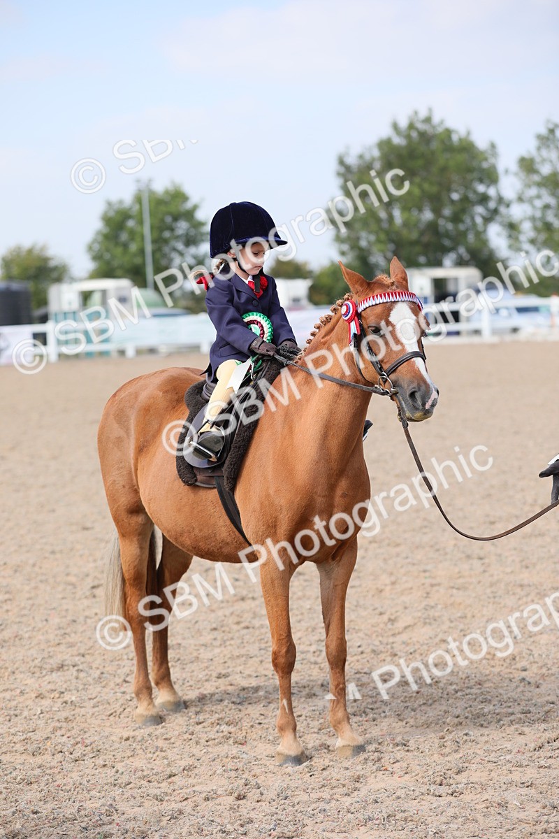 SBM_14117 - Class 309 Lead Rein Pony