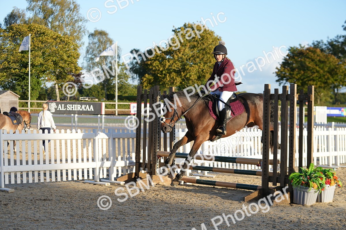 SBM_54149 - Supreme Championship 60cm 65cm