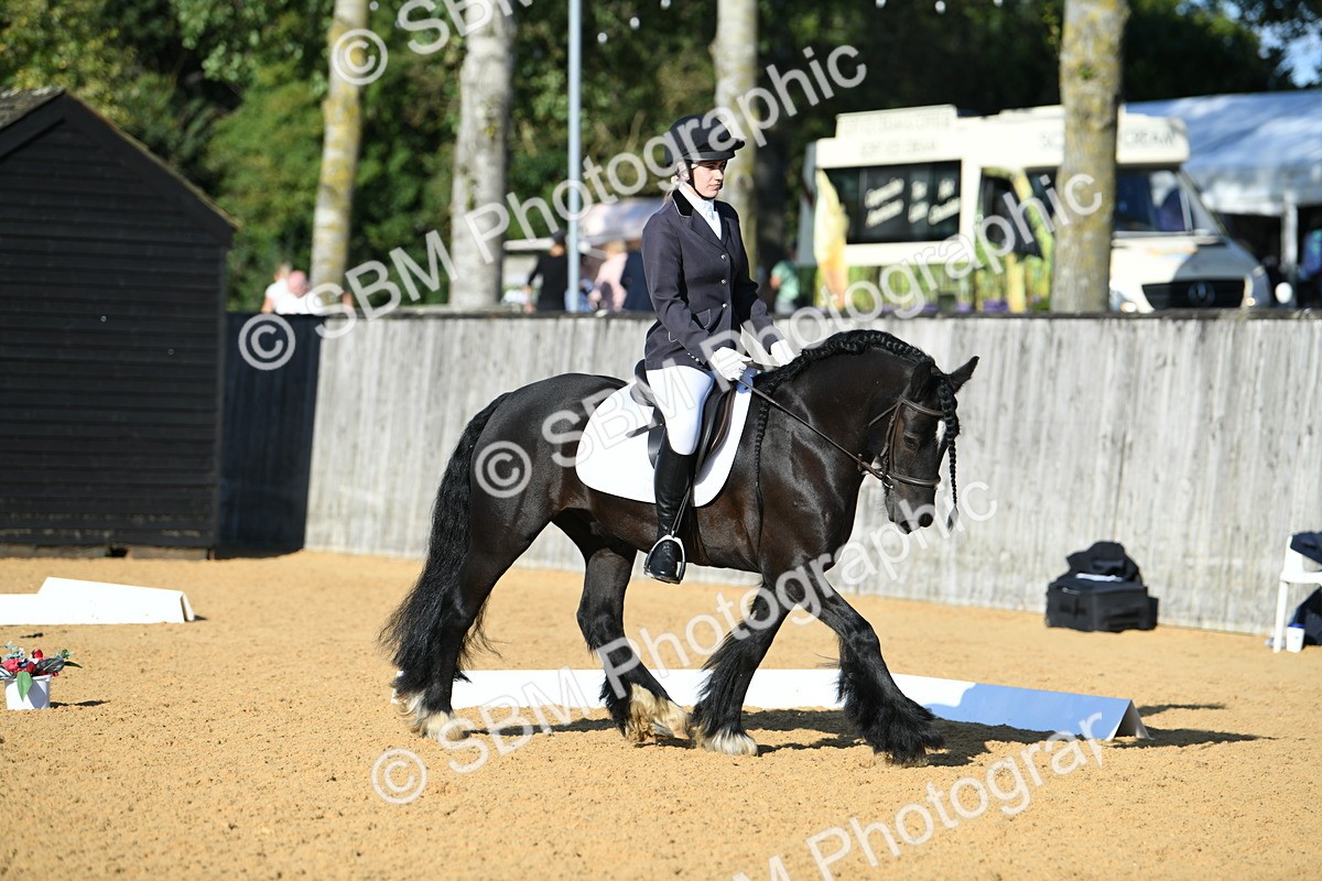 SBM_28450 - D16 - Small Tour Championship - Novice 28