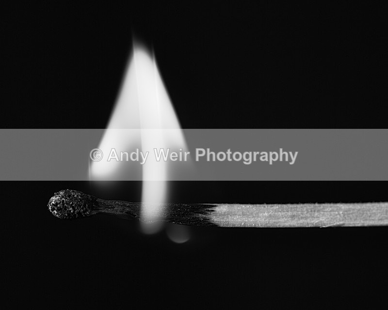 20140115-3K8A8197-2762 - Miscellaneous Photographs