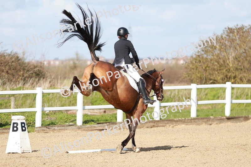 20260314-2914 - DR3 - Prelim 1