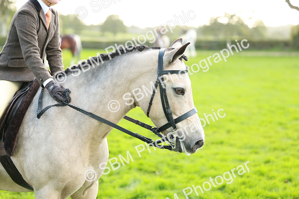 SBM_28826 - S7 - Novice & Newcomer Ridden Pony