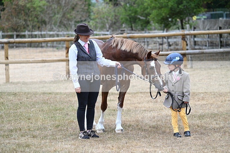 WJ7_8095 - Class 4 Prettiest Mare up to 14.2hh