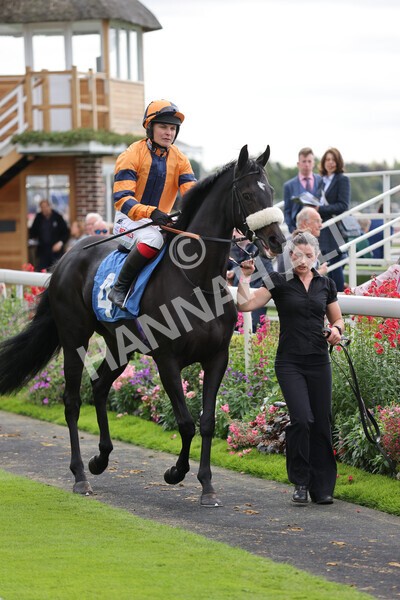 yr24092021r1-86 - Race 1 1.10pm Ernest Cooper Macmillan Ride of Their Lives