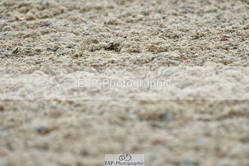 230708A-115442-02666 - Prelim 13