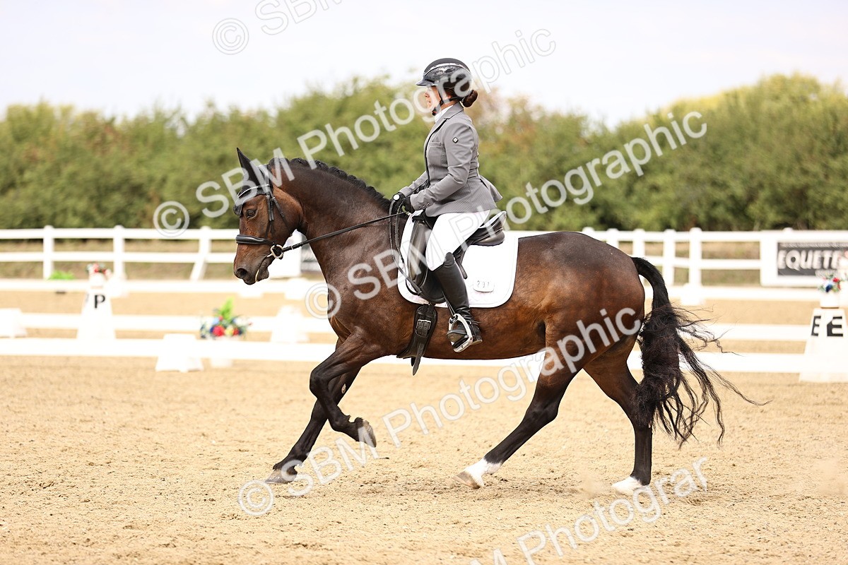 SBM_013985 - Class 4 - Novice 5 - 13.09-13.51