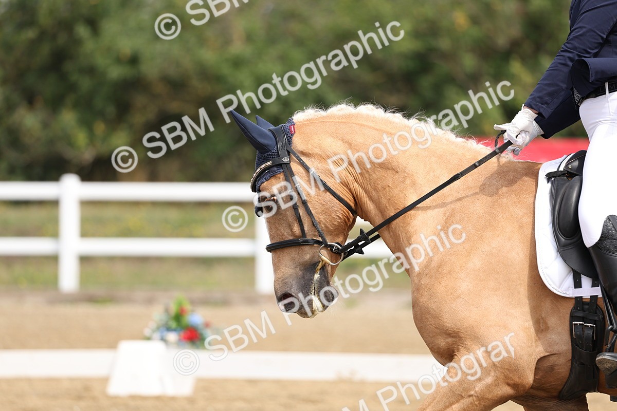 SBM_006122 - Class 6 - novice 6 - 11.50-12.46