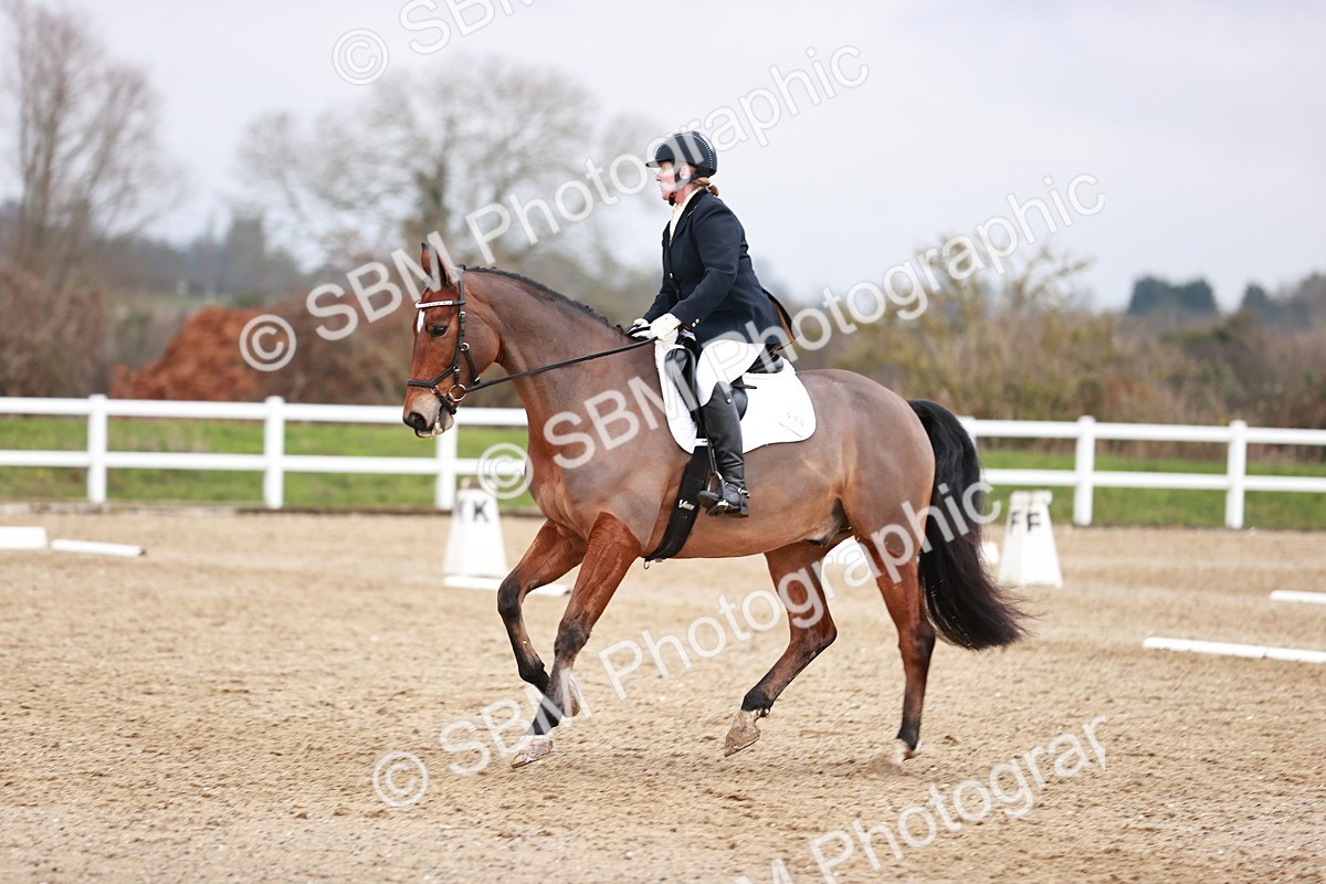 SBM_005410 - Elementary 1