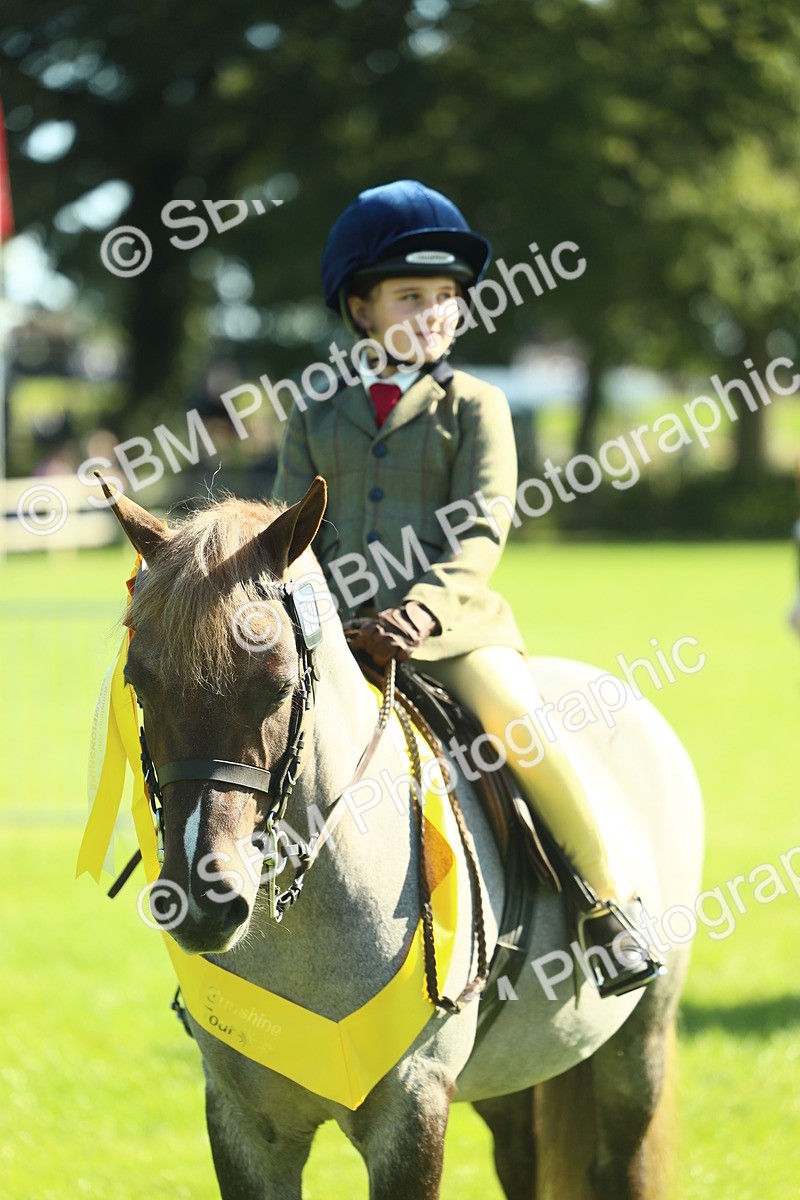 SBM_39069 - S29 - Novice & Newcomers Working Hunter Pony