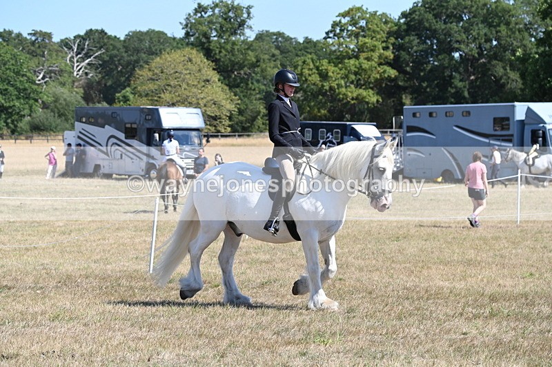 WJ6_8253 - Class 37a Best Loan Pony Ridden