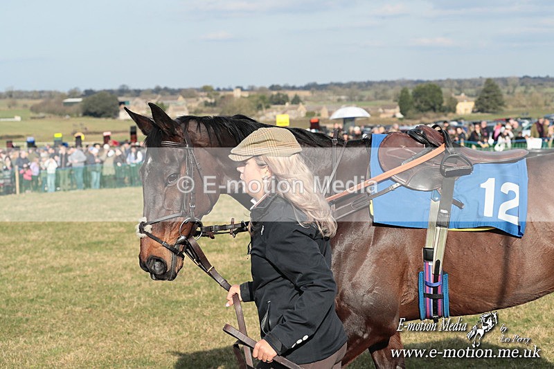 PtP 010325 364 - Beaufort Races Didmarton 01/03/25