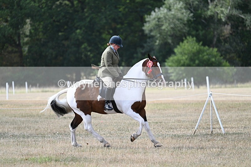 WJ7_7722 - Ridden Championship